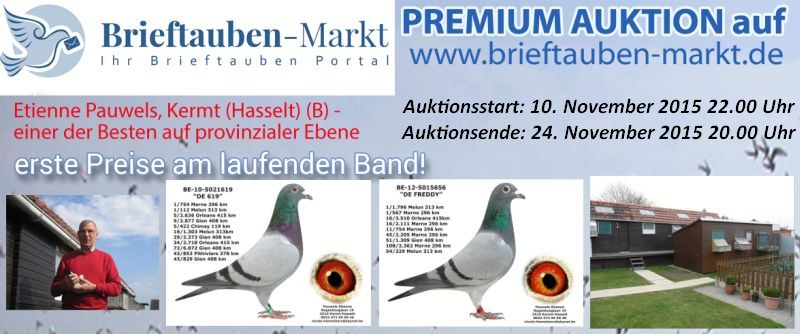 auktion 2015 pauwels mit text