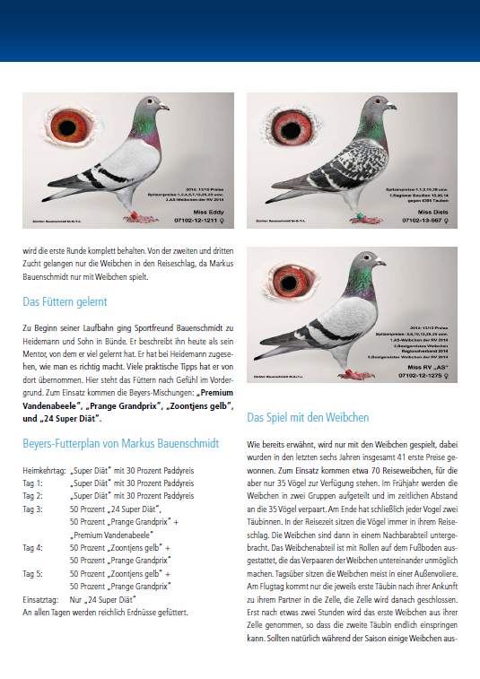 beyers news dez 2015 3