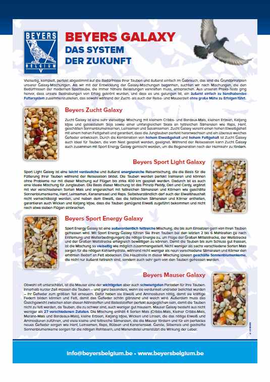 beyers news dez 2015 7