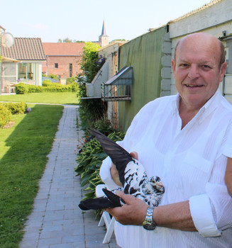 louis vangramberen