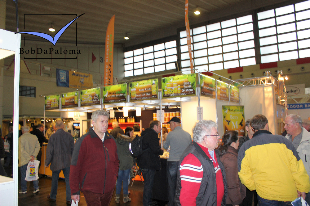 DBA2015 boskamp