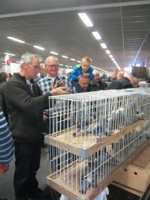 houten 2016_3