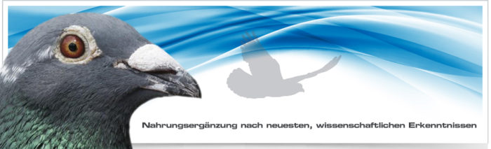 brockamp header2