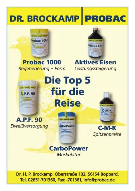 probac reise