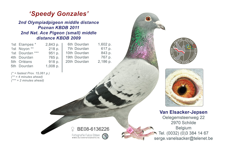 van elsacker speedy