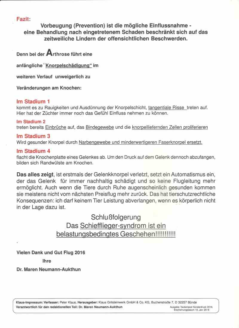 klaus schiefflieger4