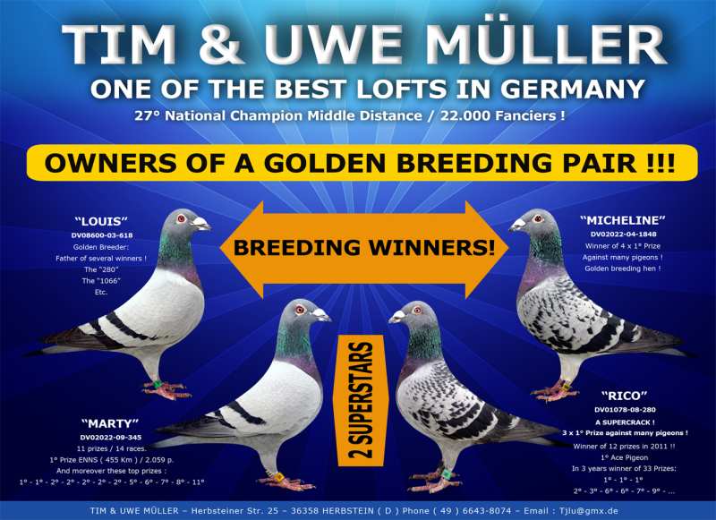 müller tim uwe