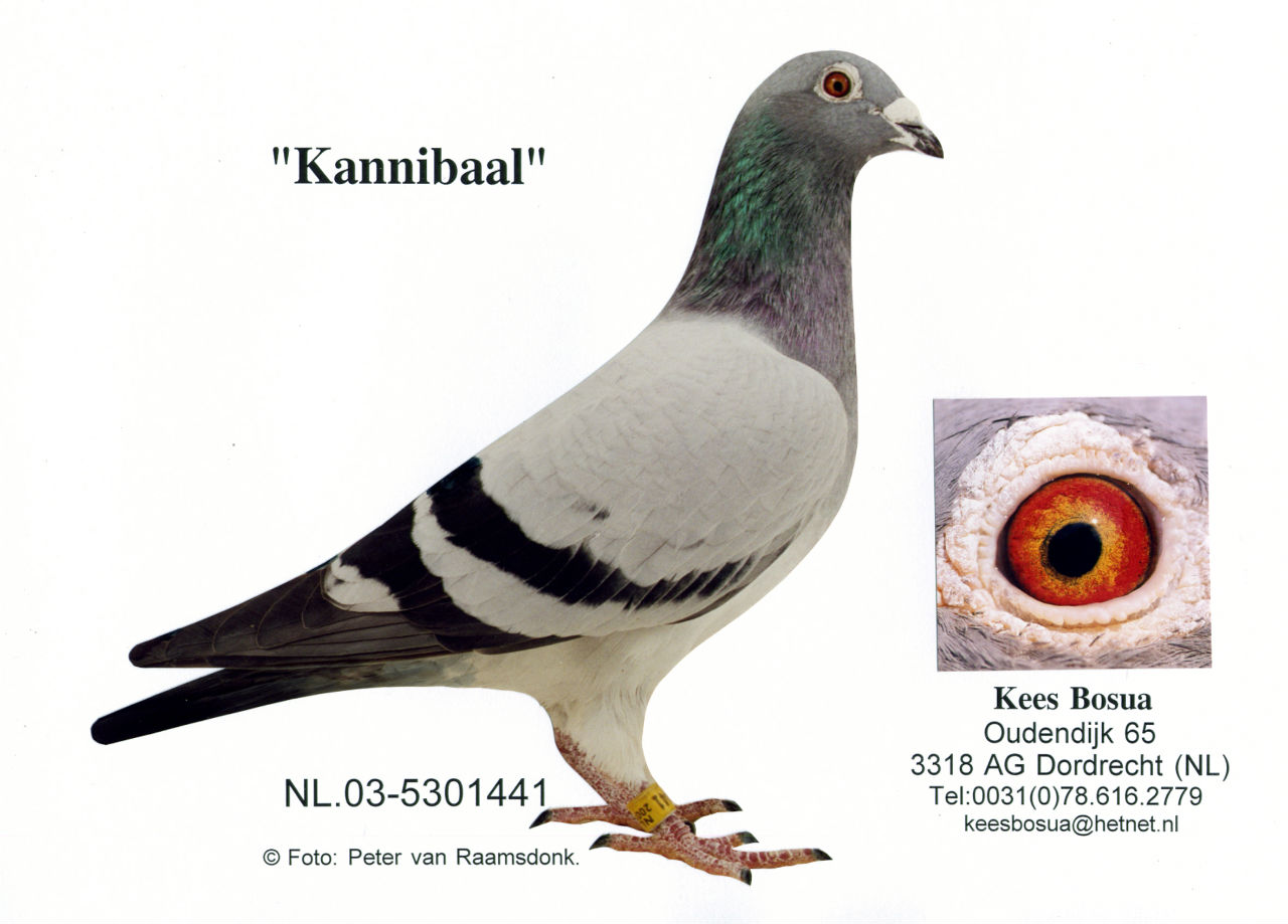 bosua Kannibaal