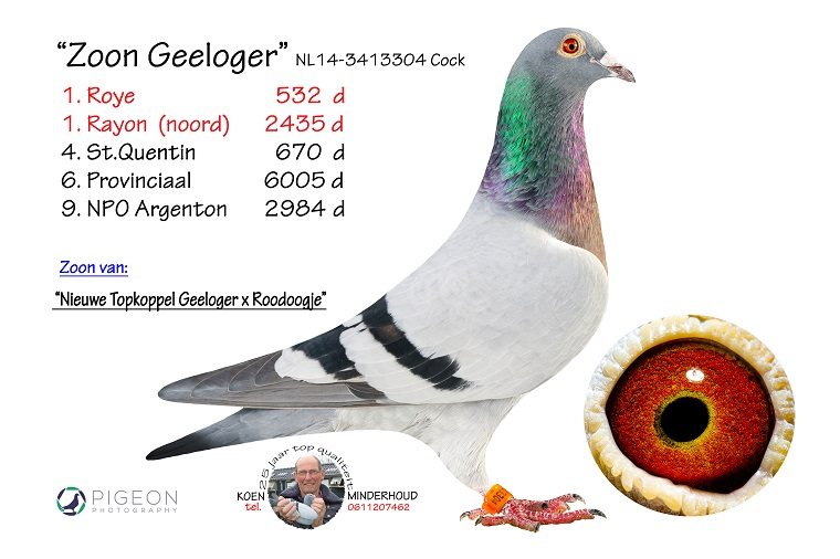 minderhout 304