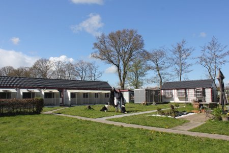 koehorn