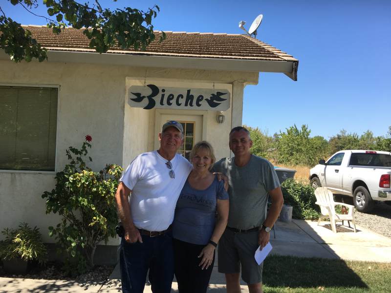 bauer rieche 2016