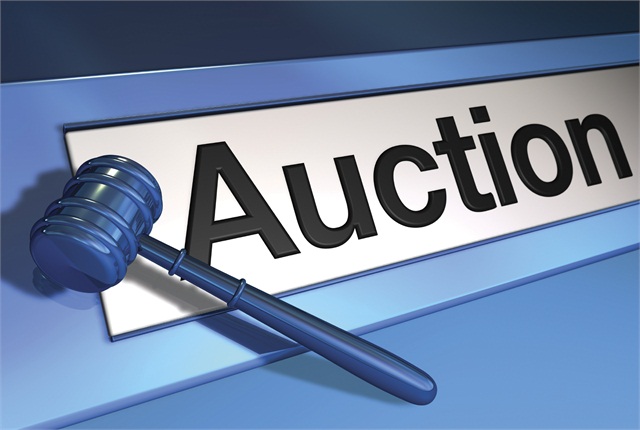 auction2015