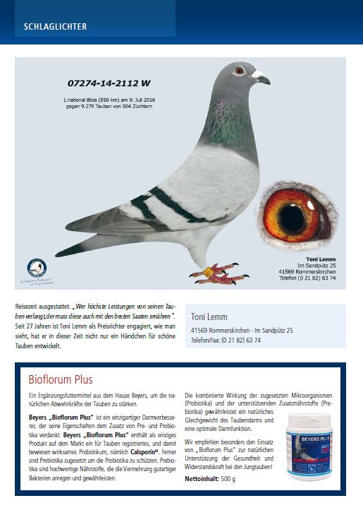 beyers news sep 2016 6