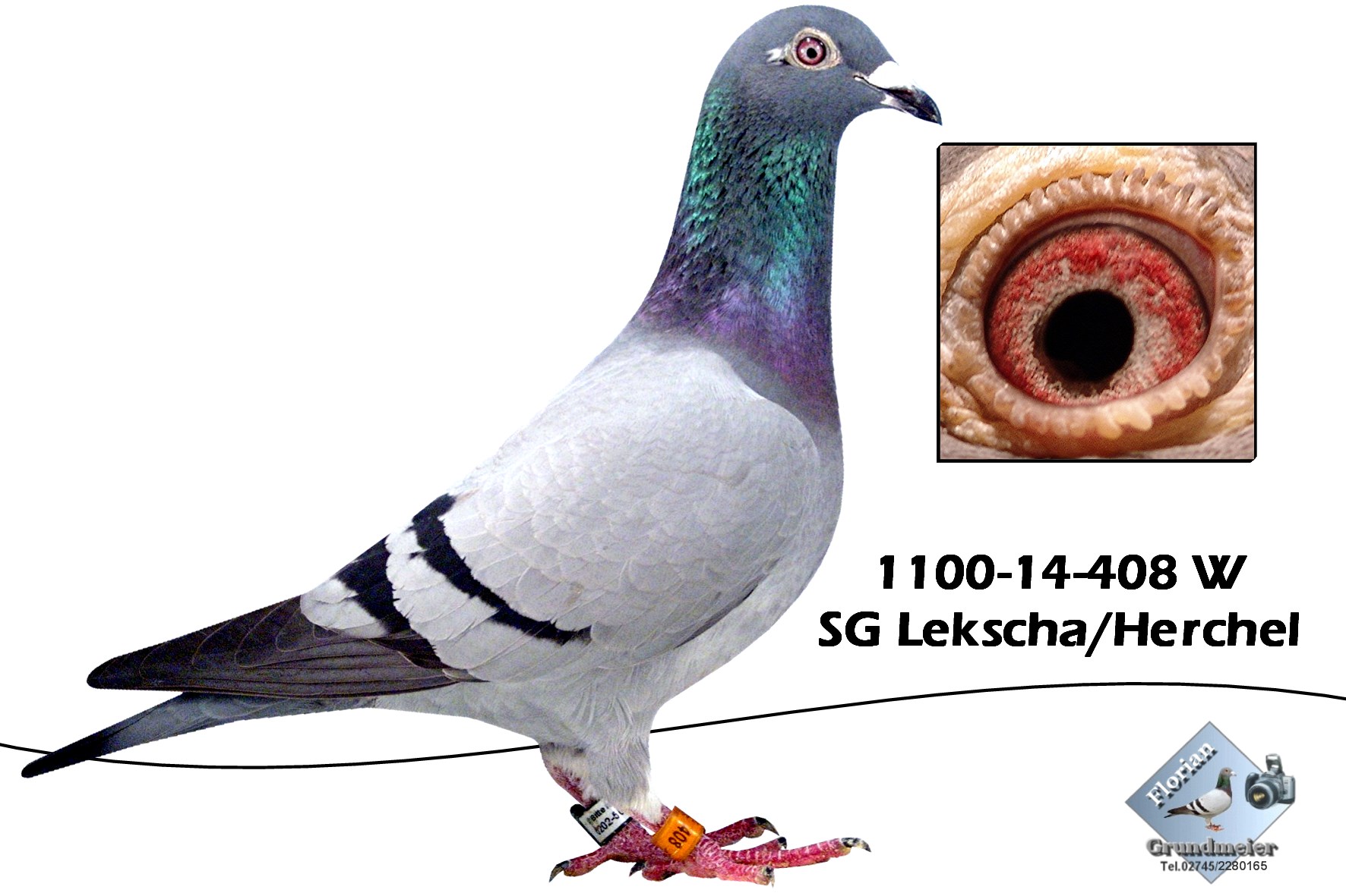 lekscha 1100-14-408 W