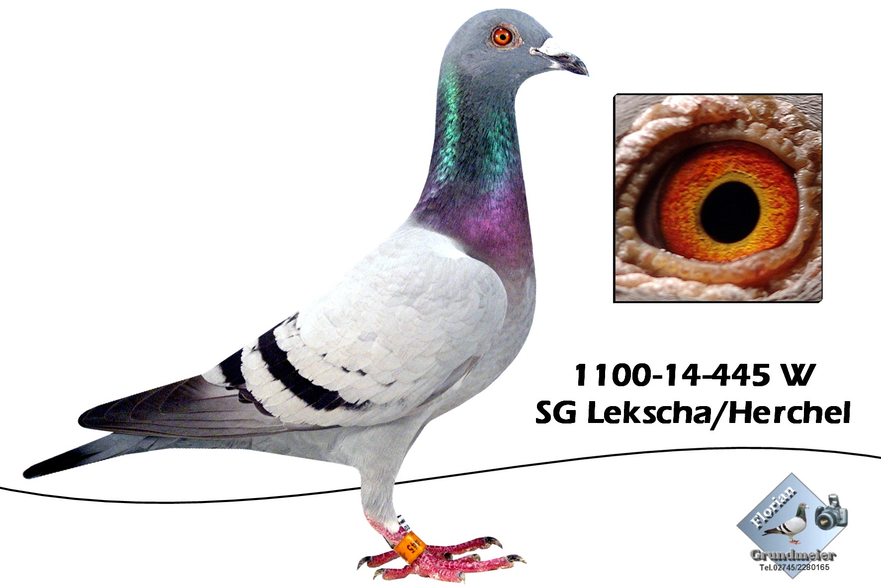 lekscha 1100-14-445 W