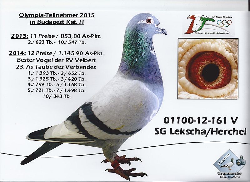Lekscha 161jpg