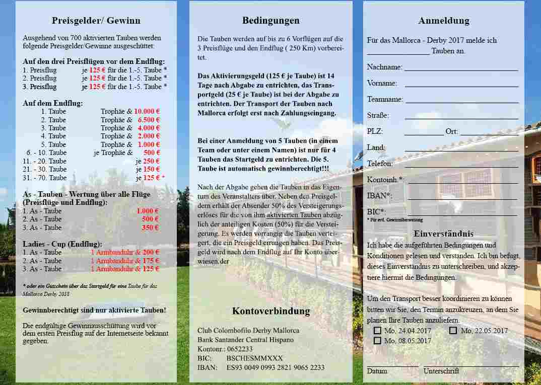 mallorca flyer2