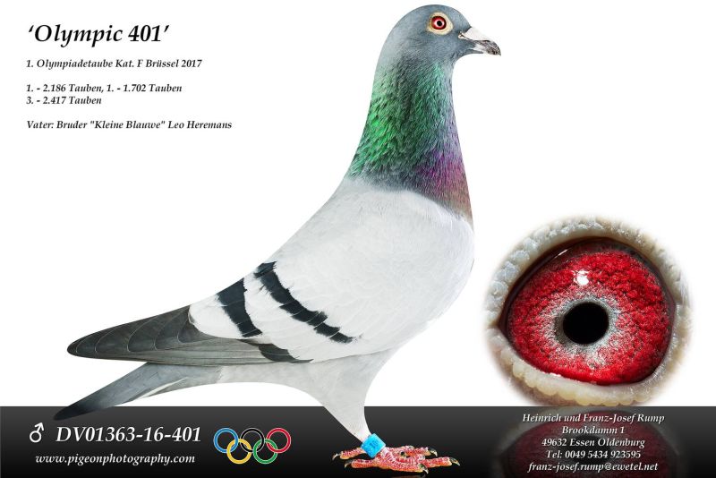 olympiade rump 401