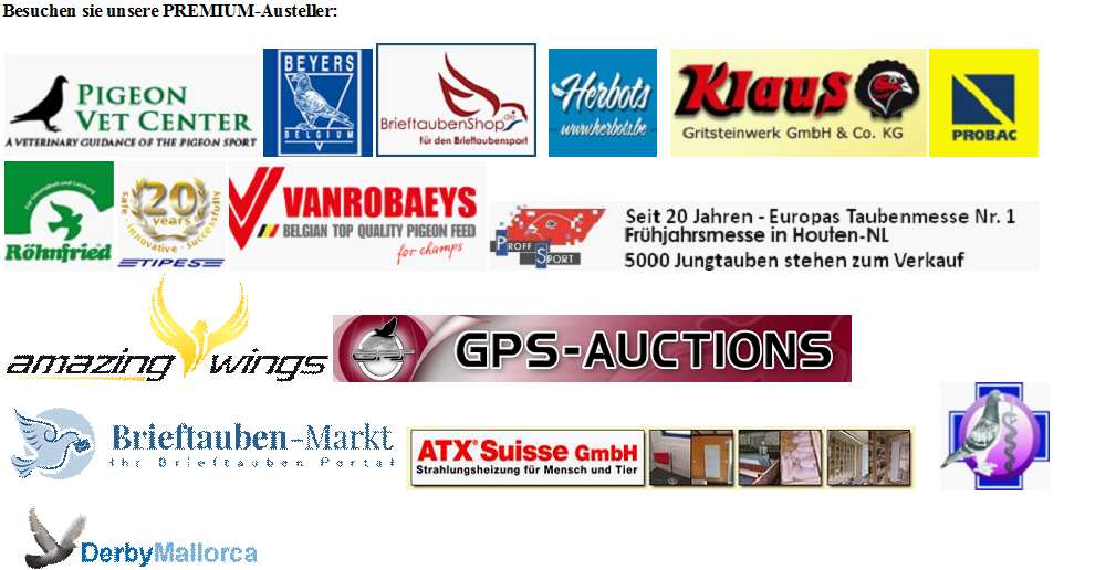 proff ausst 2017