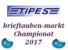 Brieftauben Markt Championat