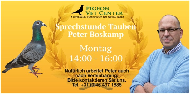 boskamp sprechstunde 2017