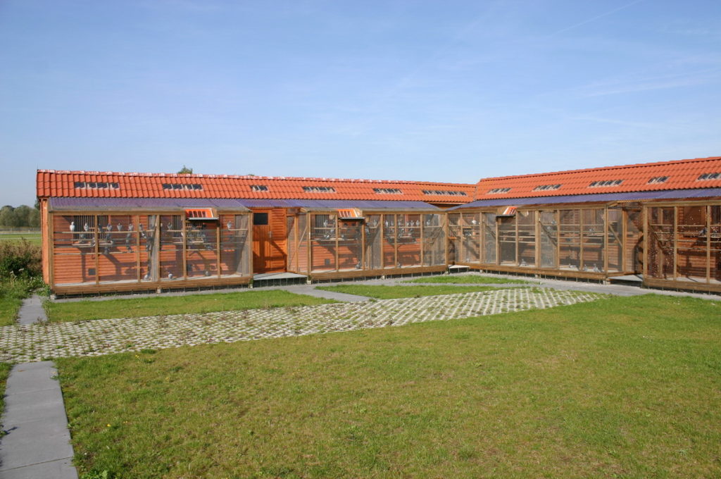 stiens schlag2