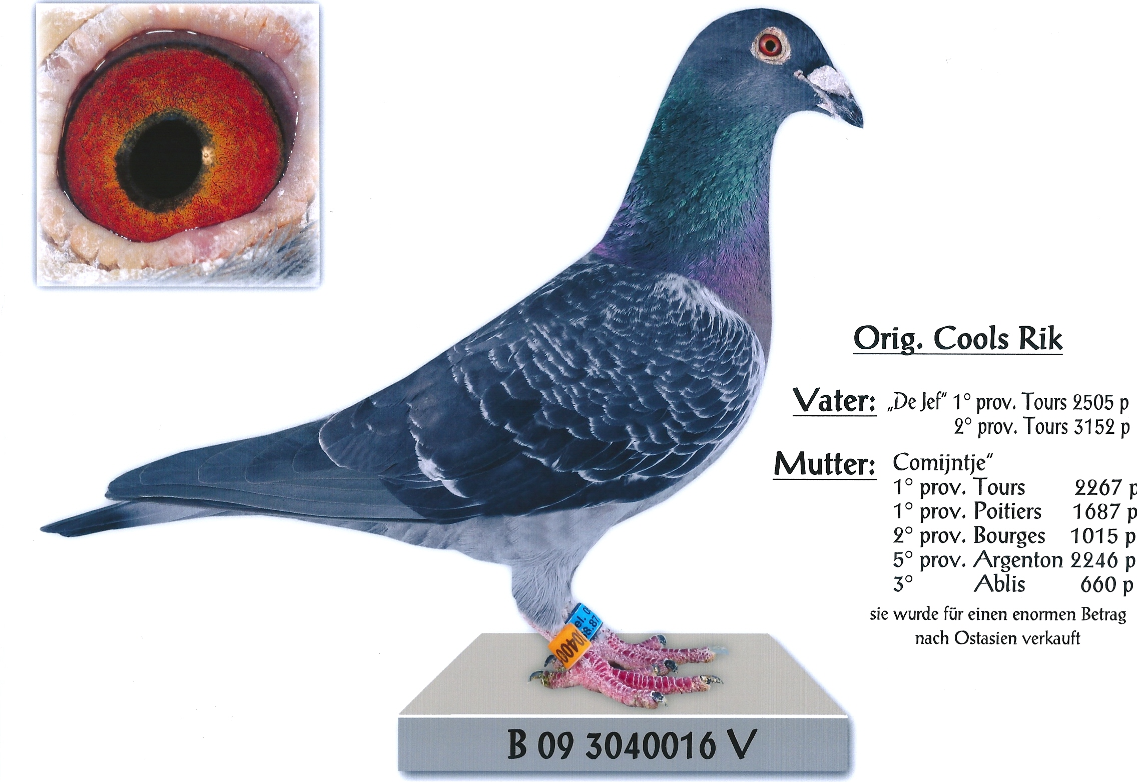 wöhr B-09-3040016 vater fenomeen