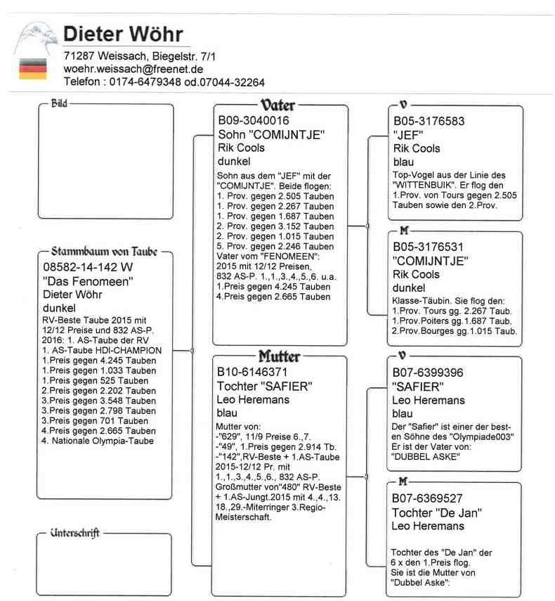 wöhr Fenomeen abst