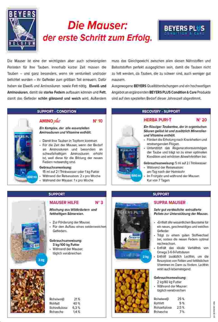 beyers mauser 2017 neu