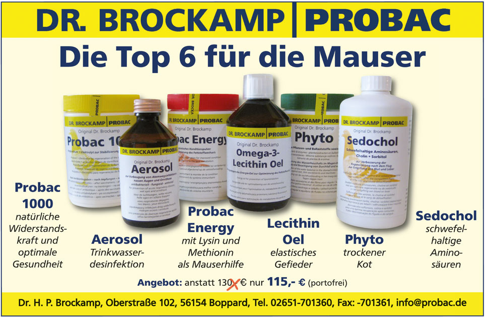 brockamp sept 2017
