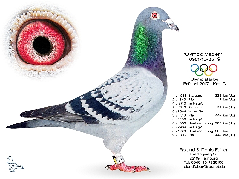 faber olympic madlen 0901-15-857