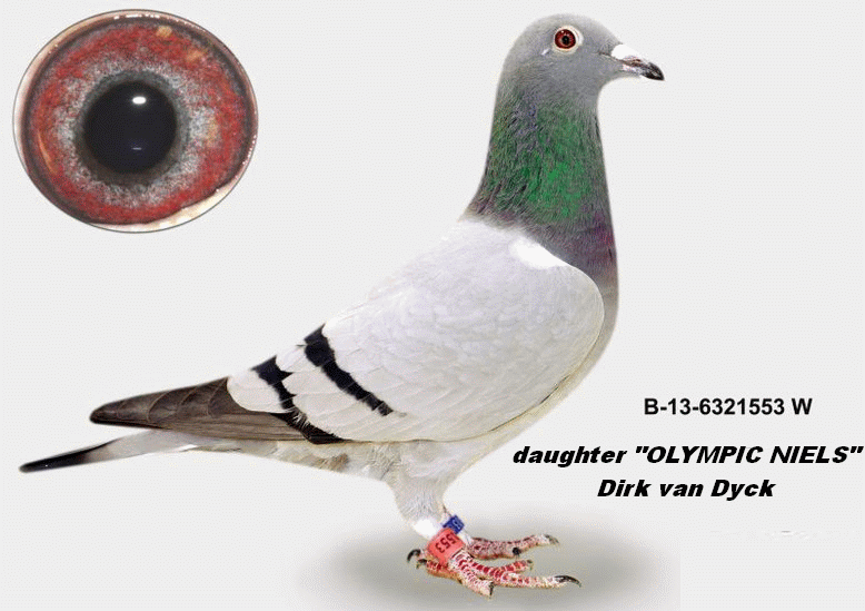 a muhl b-13-6321553 daughter olympic niels
