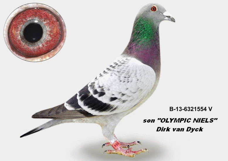 a muhl b-13-6321554 son olympic niels
