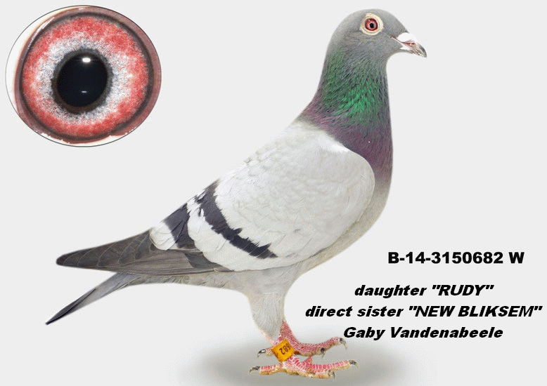 a muhl b-14-3150682 daughter rudy rudy