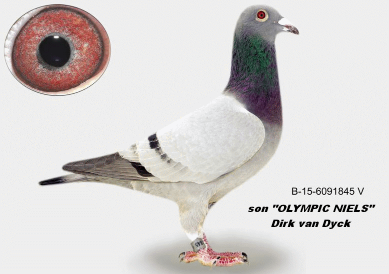 a muhl b-15-6091845 son olympic niels