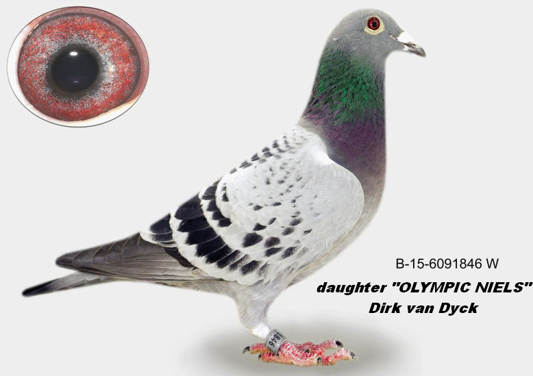 a muhl b-15-6291846 daughter olympic niels
