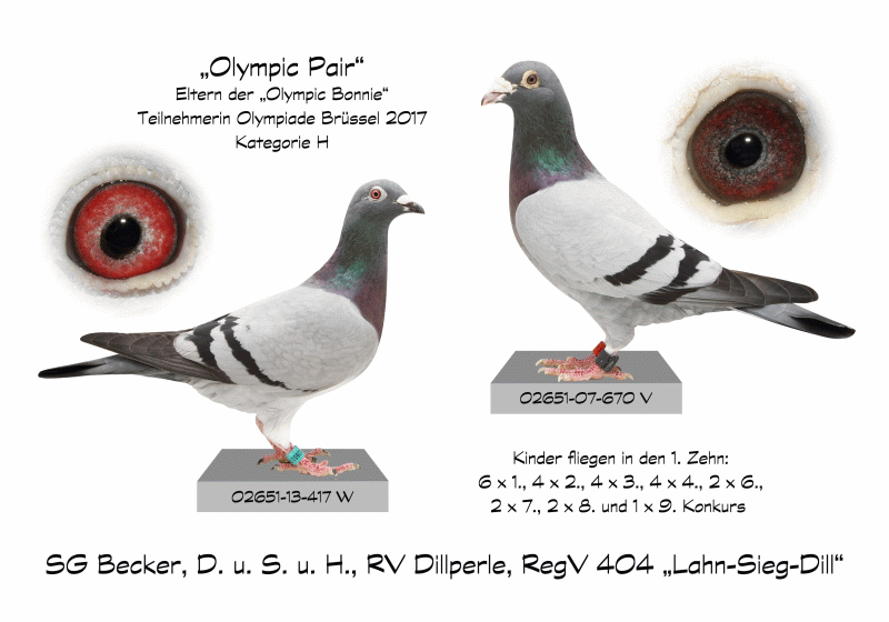 sg becker olympic pair