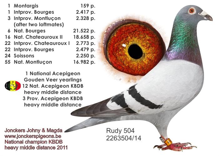 jonckers rudy504