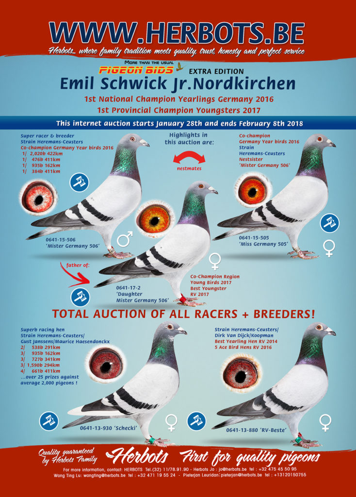 schwick_01_2017_en
