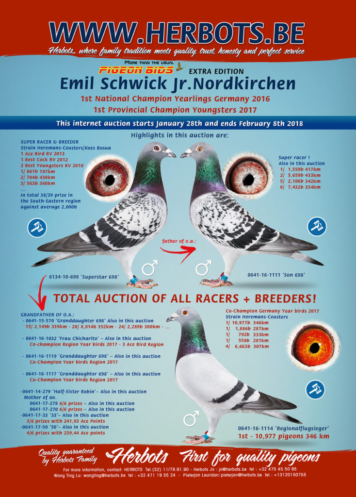 schwick_02_2017_en
