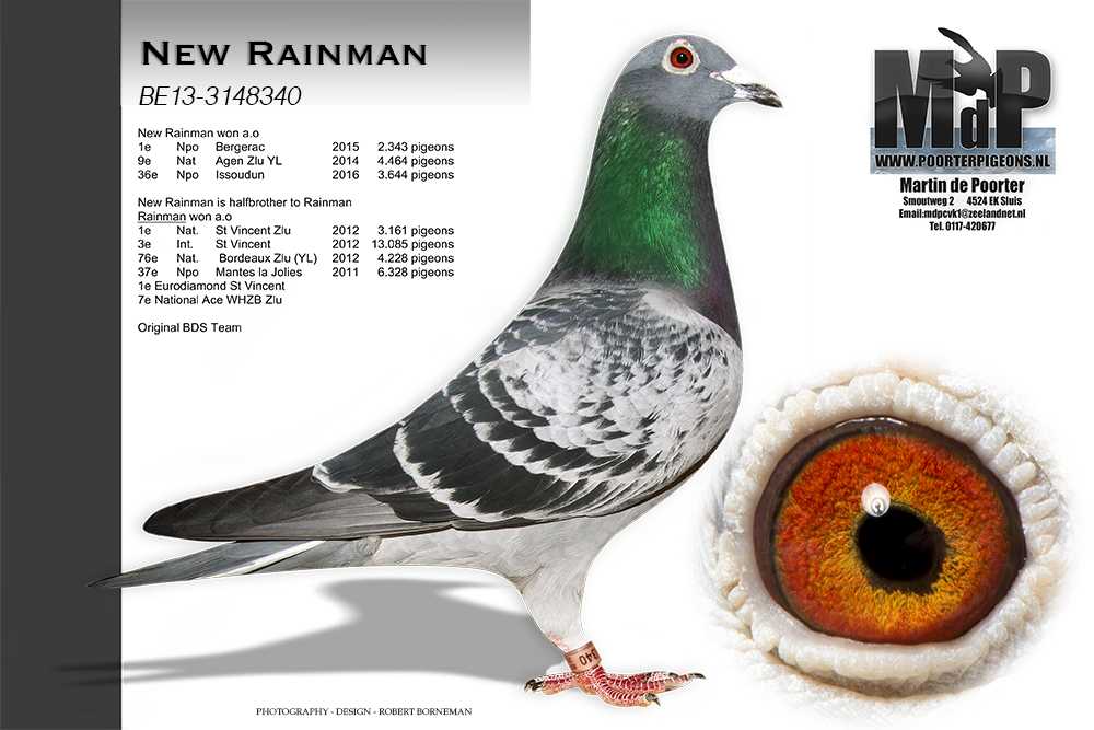 de poorter new rainman