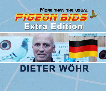 wöhr pigeon bids intro