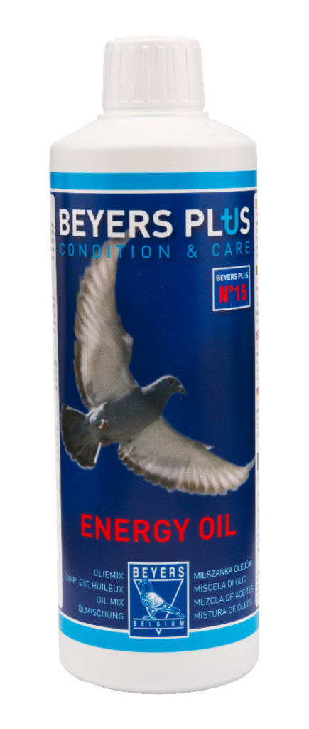 beyers_energy-oil