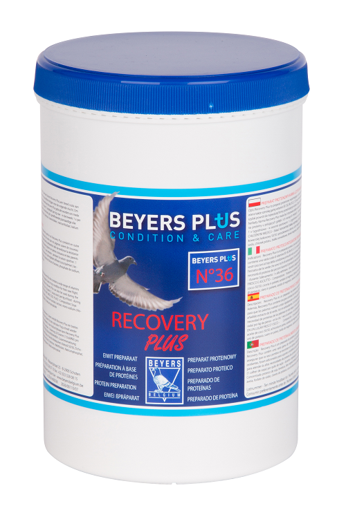 beyers_recoveryplus-new