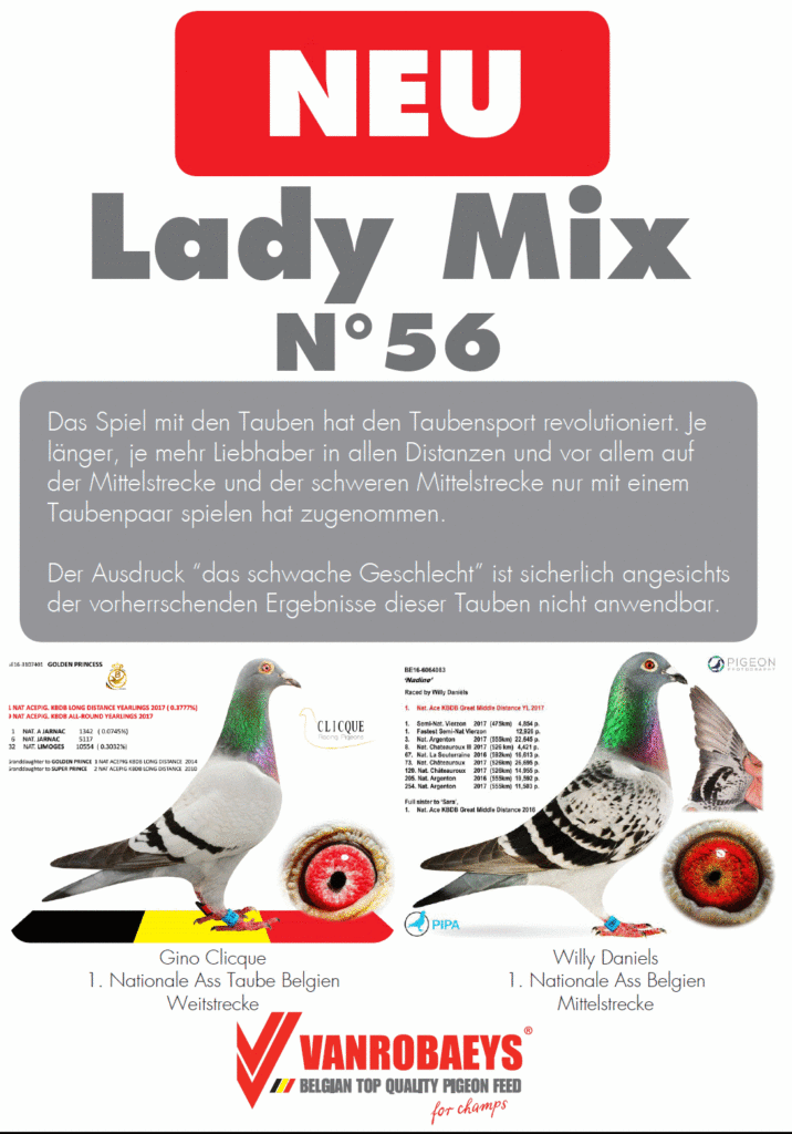 vanrobaeys lady_1