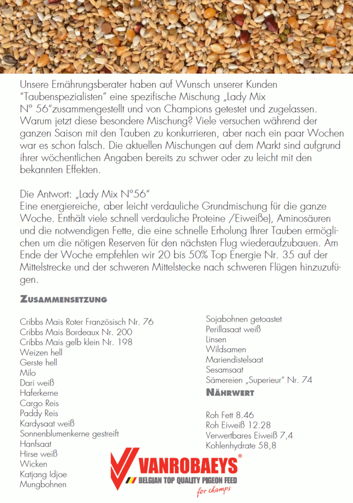 vanrobaeys lady_2
