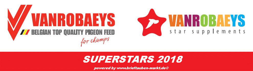 vanrobaeys superstars logo 2018