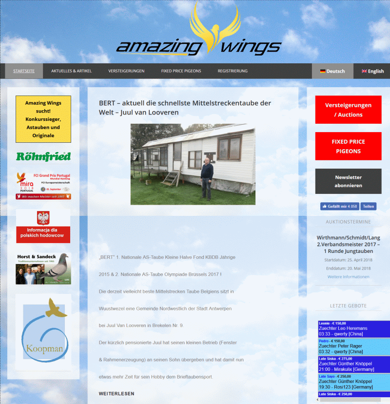 amazing wings startseite