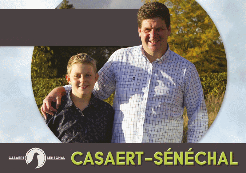 casaert senechal