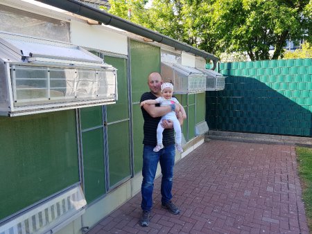 linsen willi 2018